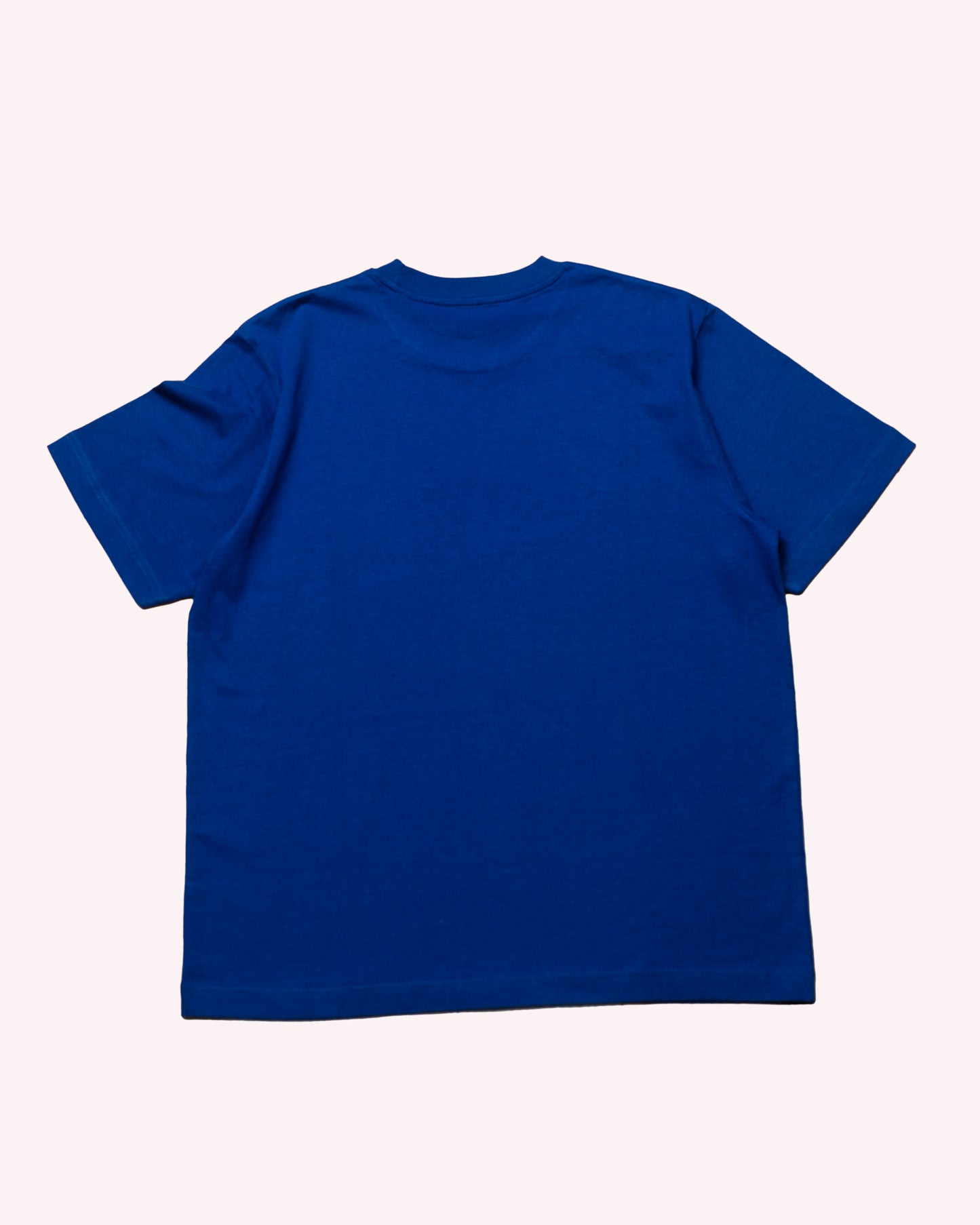 EMBROIDERED ORGANIC COTTON BLUE T-SHIRT