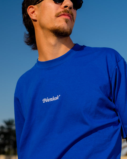 EMBROIDERED ORGANIC COTTON BLUE T-SHIRT