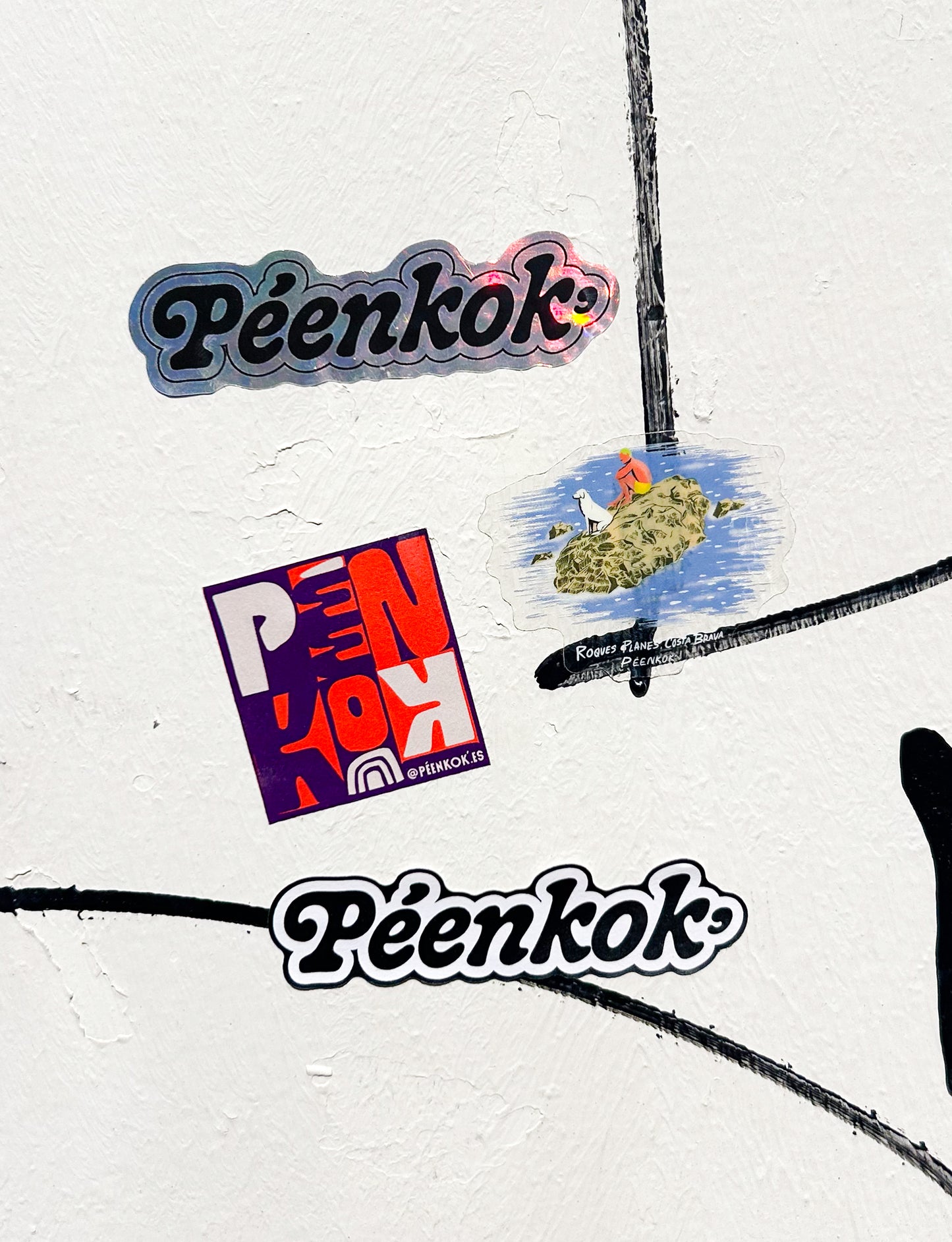 Pack x 4 Stickers biodegradables