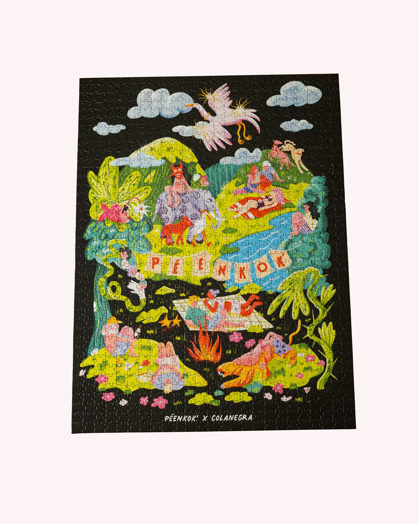 1000 PIECE PUZZLE X COLANEGRA