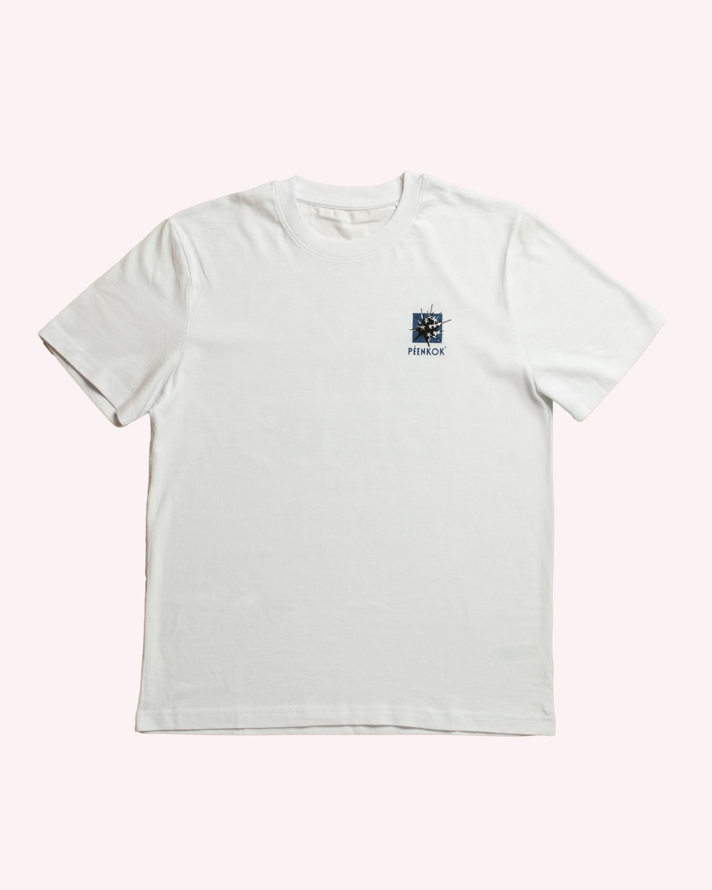 LA PATAGONIA TEE WHITE