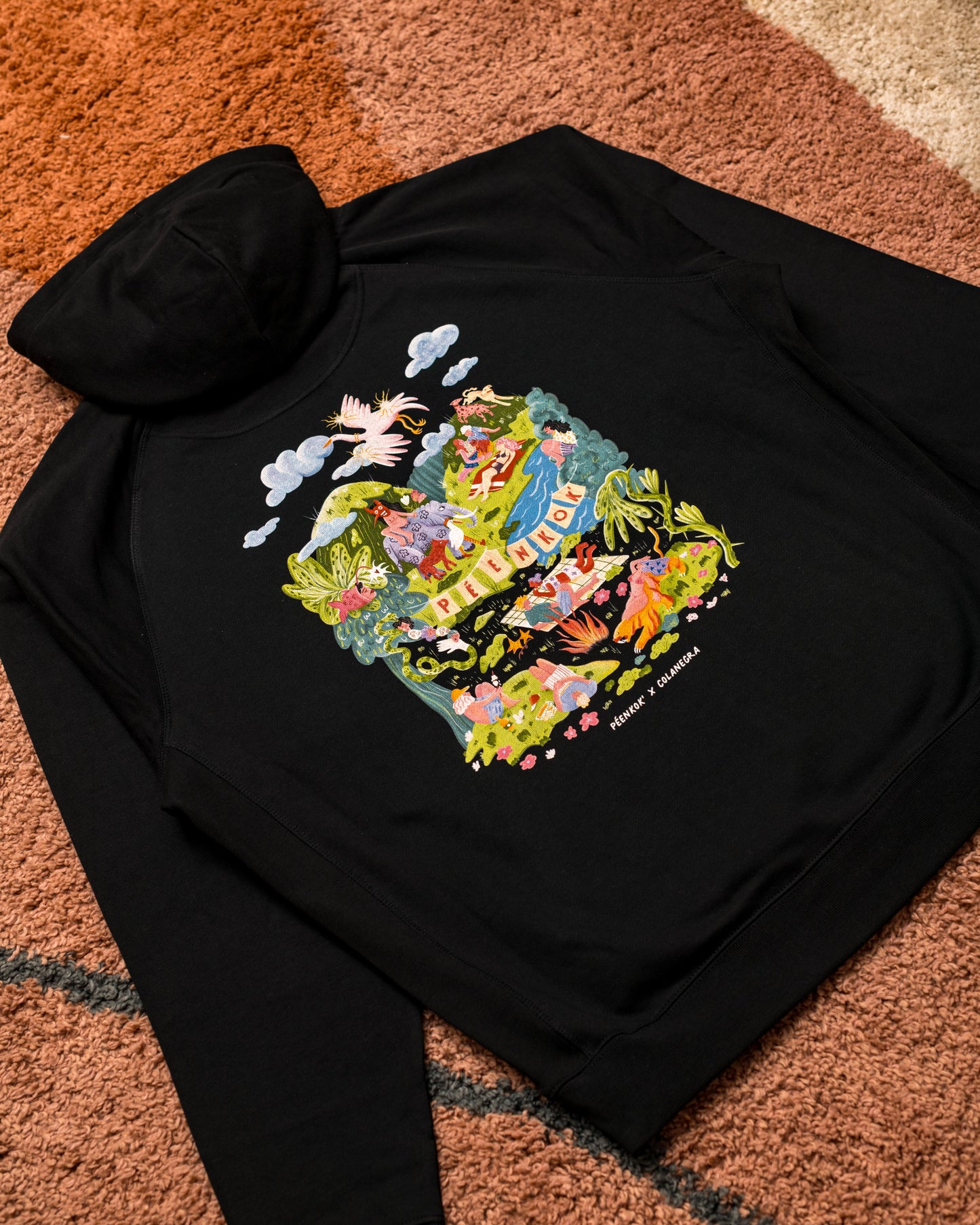 COLANEGRA HOODIE BLACK