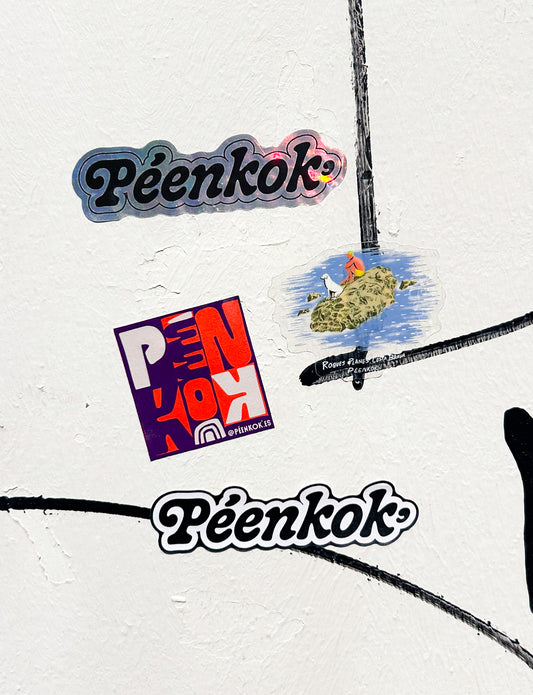 Pack x 4 Stickers biodegradables