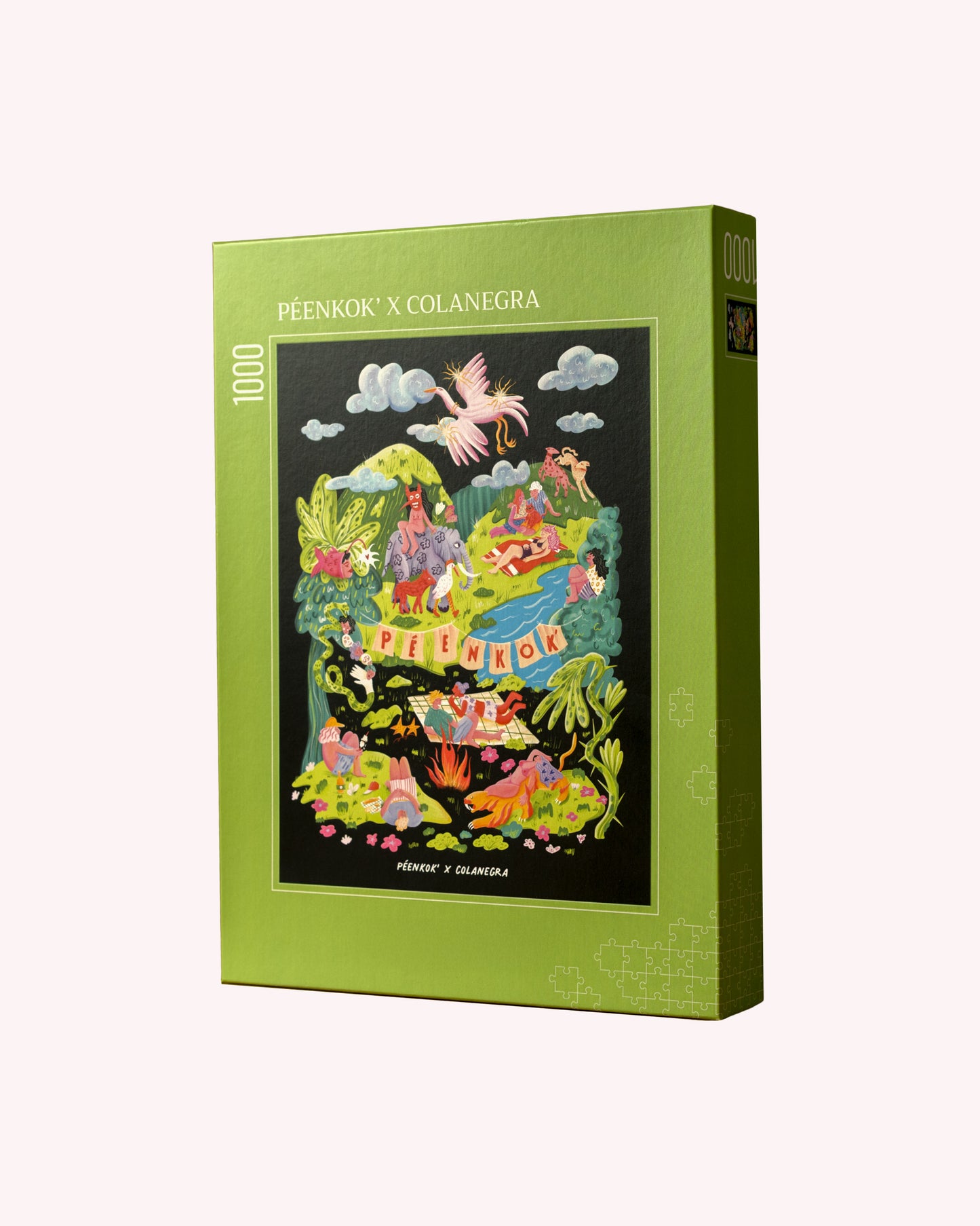 1000 PIECE PUZZLE X COLANEGRA